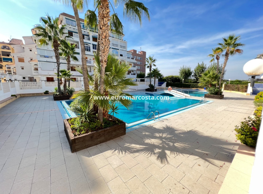 Sale - Apartment / flat - La Mata