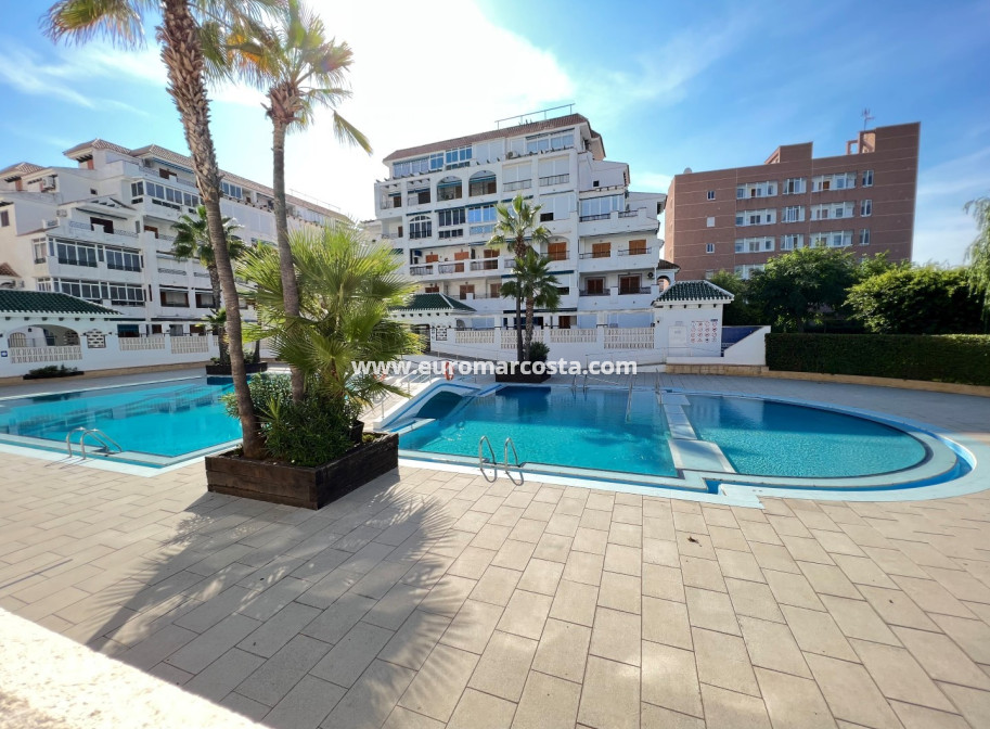 Sale - Apartment / flat - La Mata