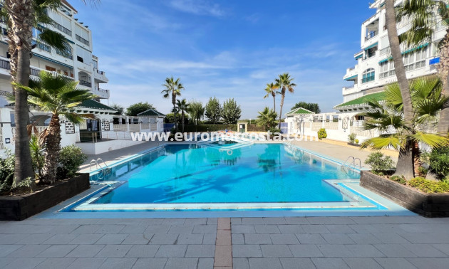 Sale - Apartment / flat - La Mata