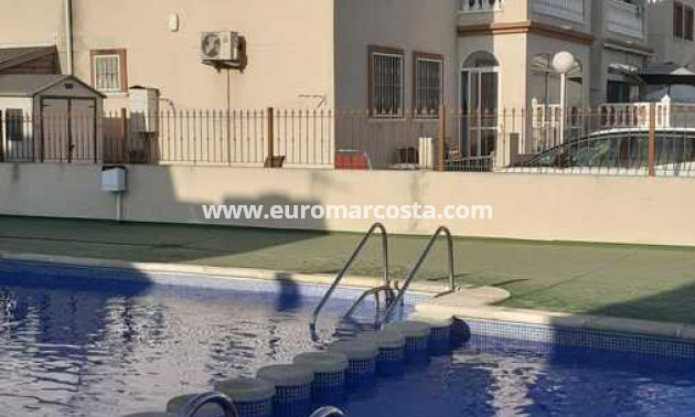 Venta - Apartamento / piso - Daya Vieja