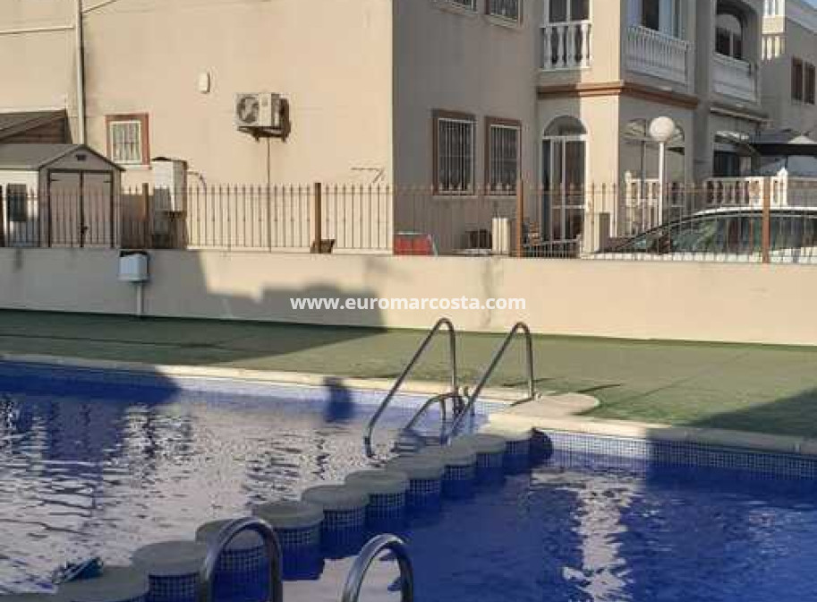 Venta - Apartamento / piso - Daya Vieja