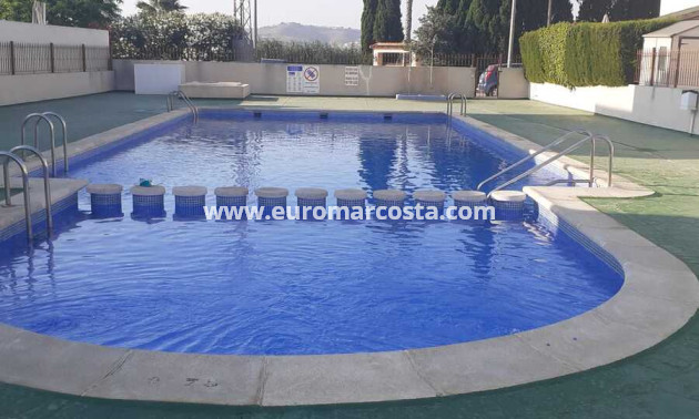Venta - Apartamento / piso - Daya Vieja