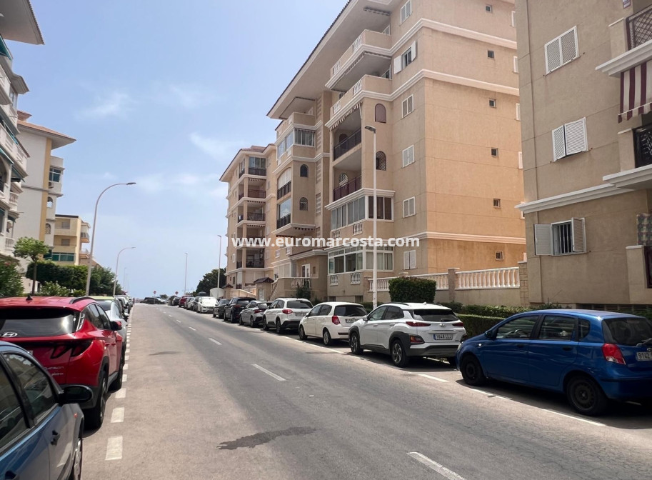 Sale - Apartment / flat - La Mata