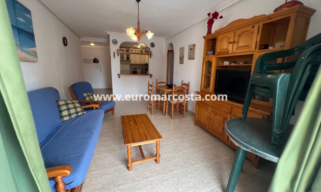 Sale - Apartment / flat - La Mata