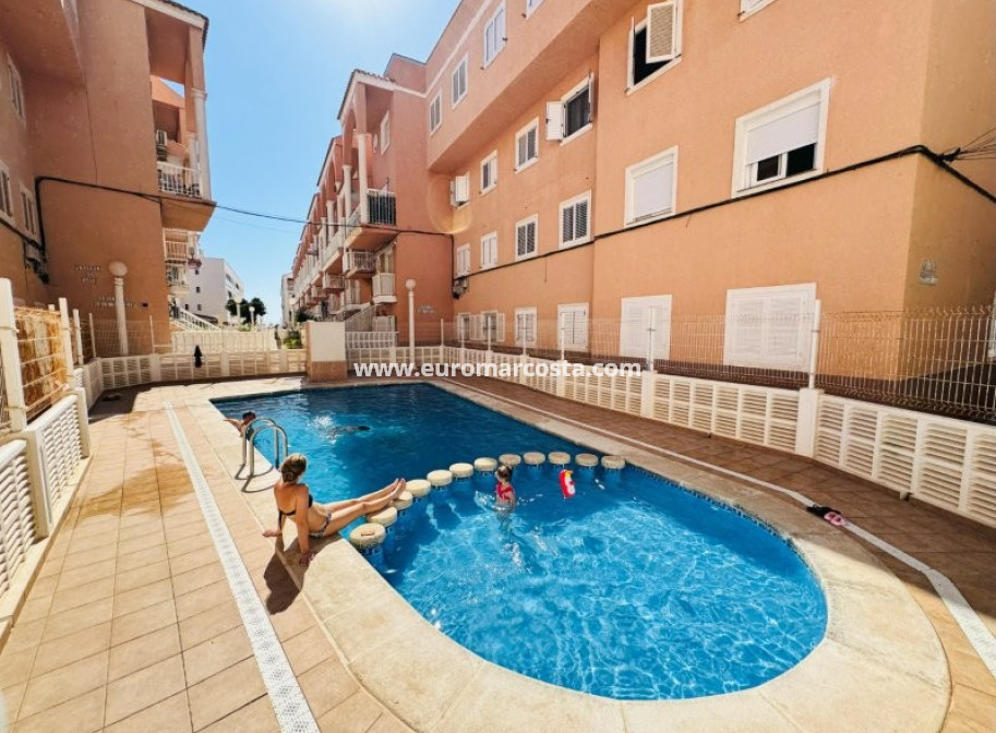 Venta - Apartamento / piso - La Mata