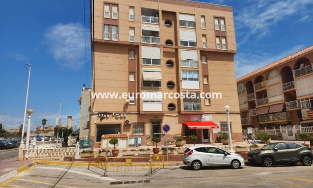 Venta - Apartamento / piso - La Mata