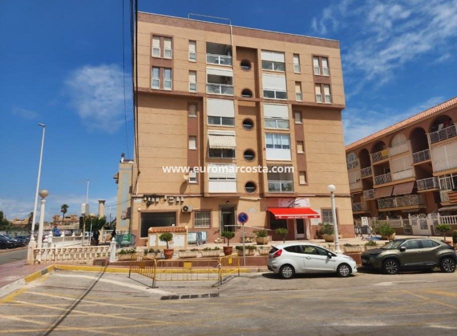 Venta - Apartamento / piso - La Mata