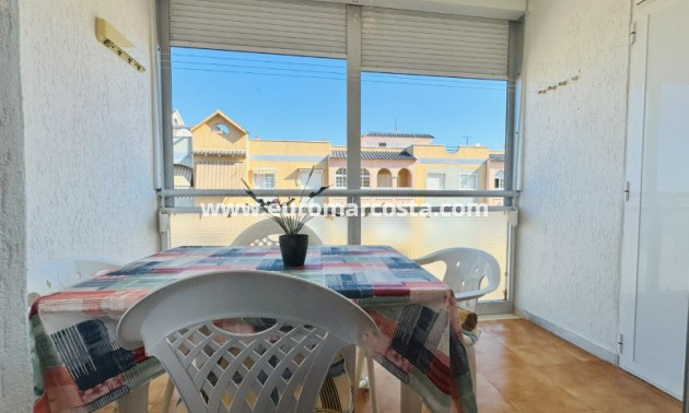 Venta - Apartamento / piso - La Mata