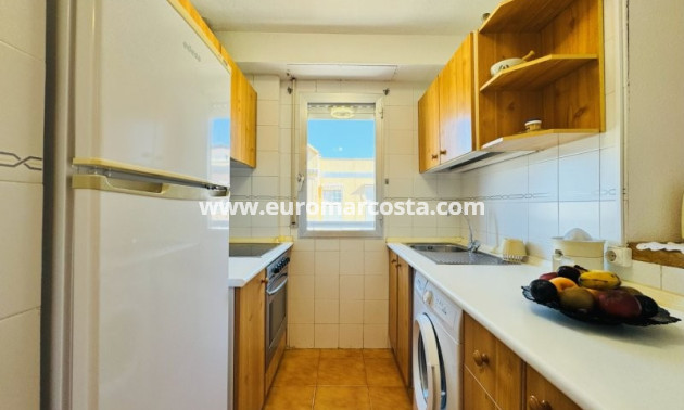 Venta - Apartamento / piso - La Mata
