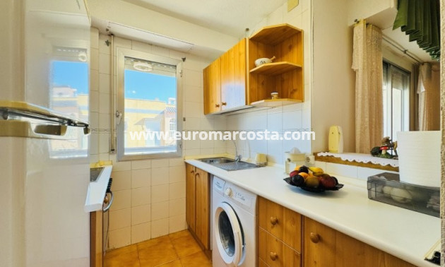 Venta - Apartamento / piso - La Mata