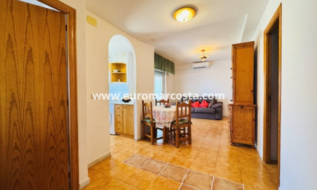 Venta - Apartamento / piso - La Mata