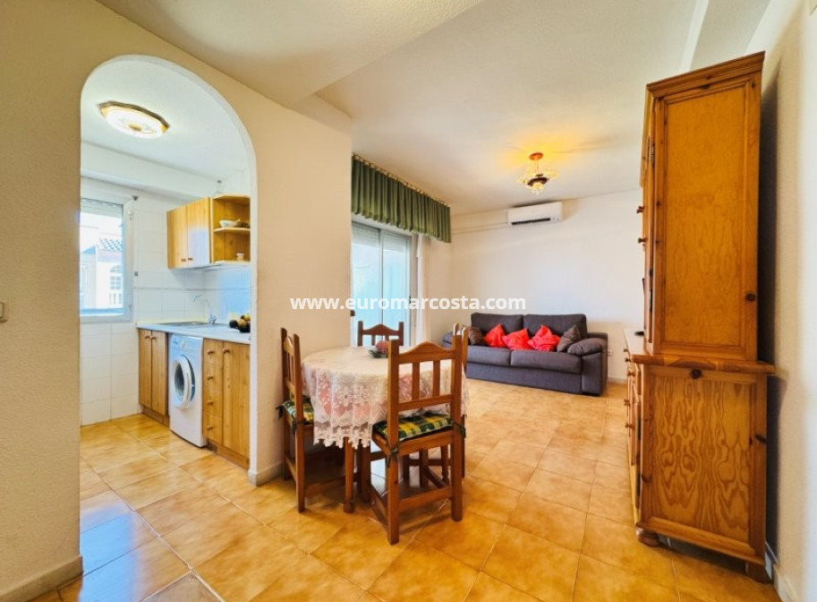 Venta - Apartamento / piso - La Mata