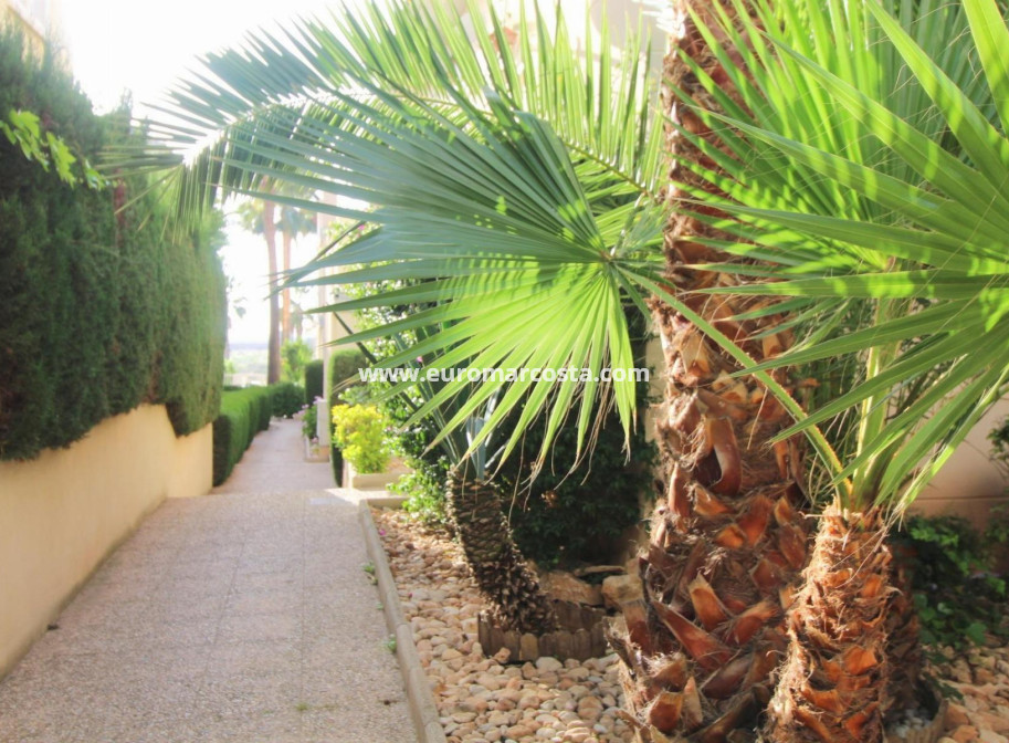 Objekte zum Wiederverkauf - Wohnung - Torrevieja - TORREVIEJA