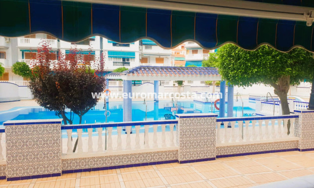 Venta - Apartamento / piso - La Mata