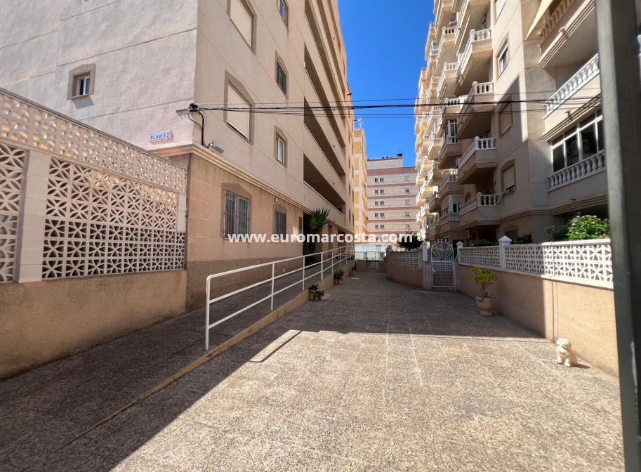 Objekte zum Wiederverkauf - Wohnung - Torrevieja Centro - TORREVIEJA