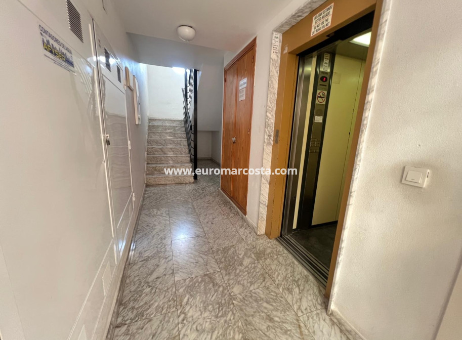 Objekte zum Wiederverkauf - Wohnung - Torrevieja Centro - TORREVIEJA