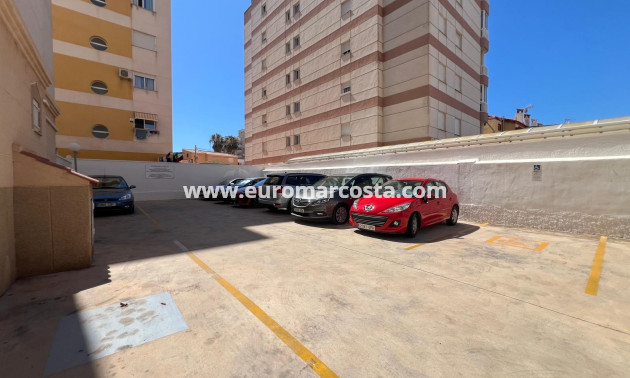 Objekte zum Wiederverkauf - Wohnung - Torrevieja Centro - TORREVIEJA