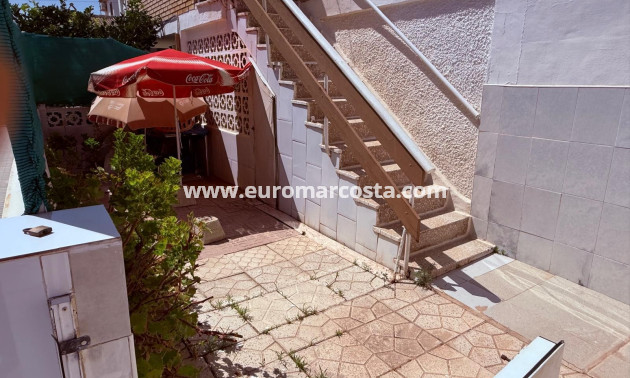 Venta - Apartamento / piso - La Mata