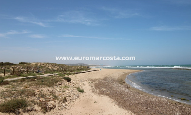 Venta - Apartamento / piso - La Mata