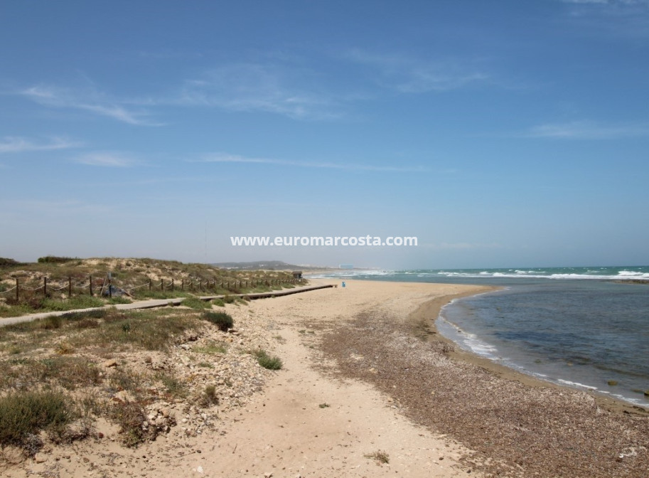 Venta - Apartamento / piso - La Mata
