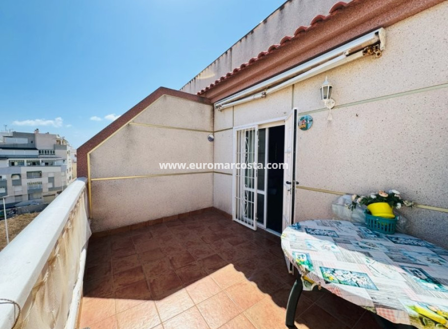 Venta - Apartamento / piso - La Mata