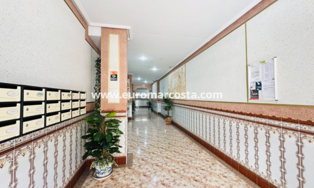 Venta - Apartamento / piso - La Mata