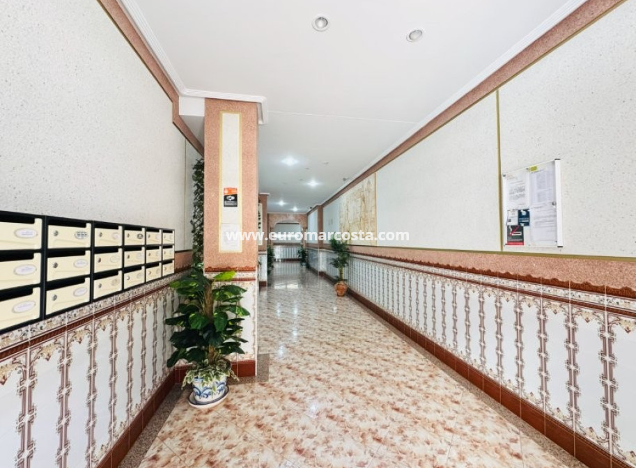 Venta - Apartamento / piso - La Mata