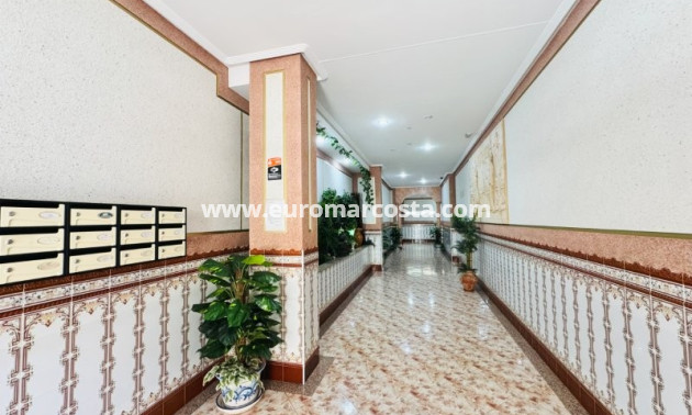 Venta - Apartamento / piso - La Mata