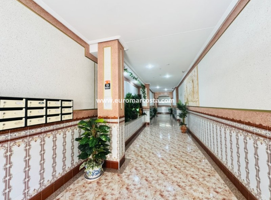 Venta - Apartamento / piso - La Mata