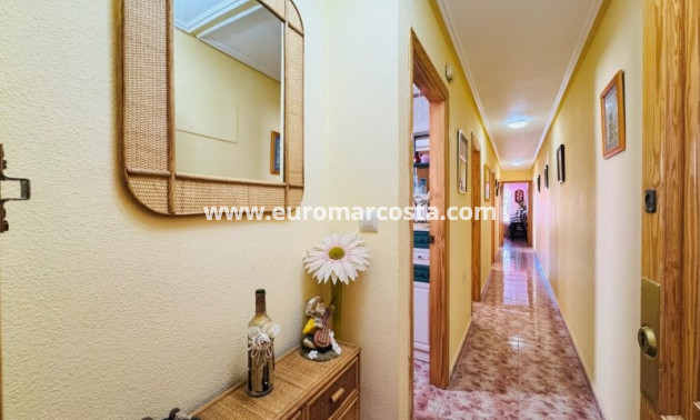 Venta - Apartamento / piso - La Mata