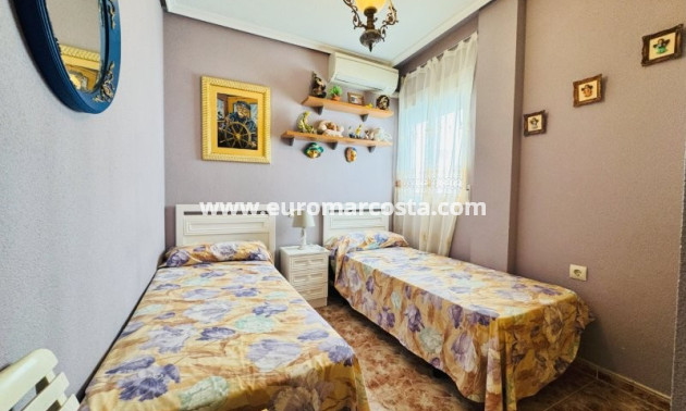 Venta - Apartamento / piso - La Mata