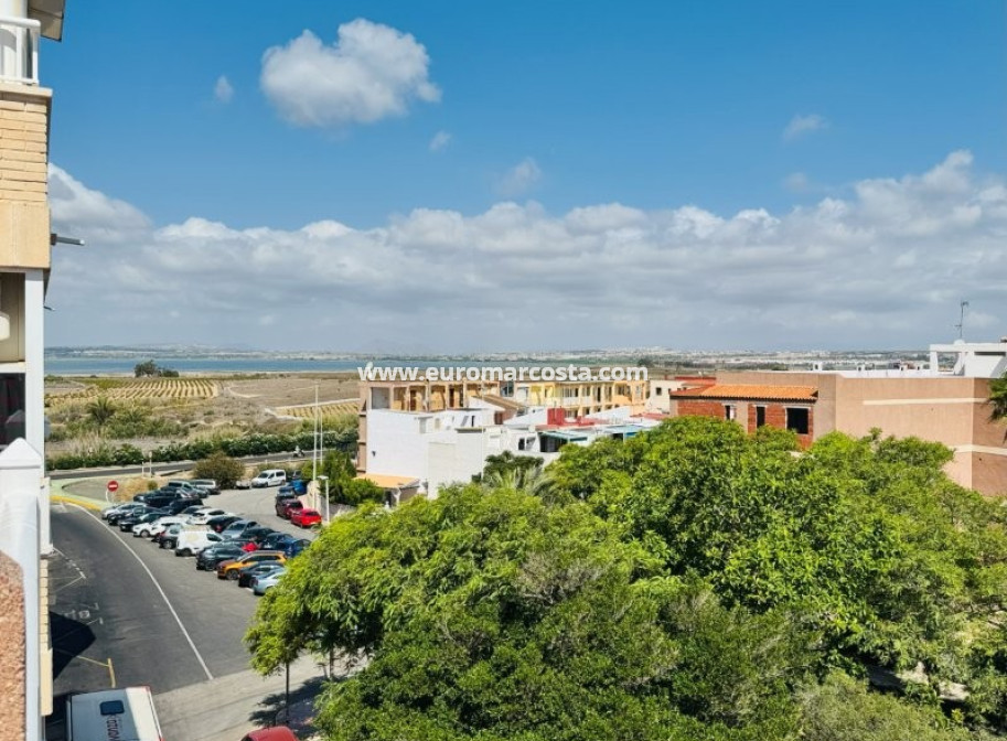 Venta - Apartamento / piso - La Mata