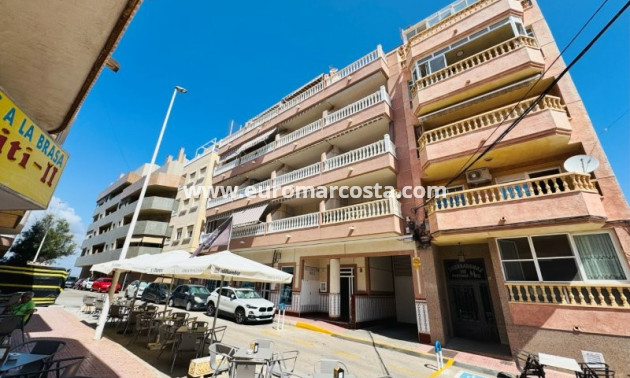 Venta - Apartamento / piso - La Mata