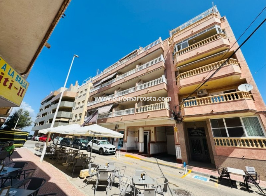 Venta - Apartamento / piso - La Mata