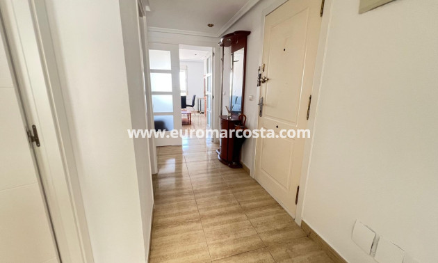 Sale - Apartment / flat - Guardamar del Segura