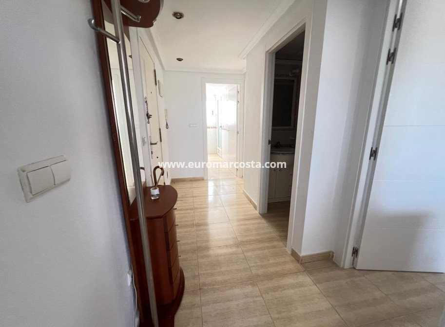 Sale - Apartment / flat - Guardamar del Segura
