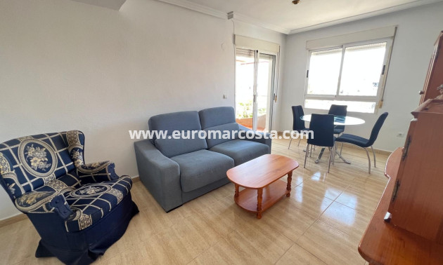 Sale - Apartment / flat - Guardamar del Segura