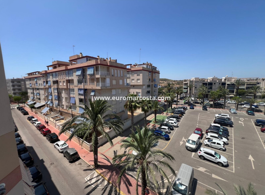 Sale - Apartment / flat - Guardamar del Segura