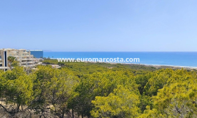 Sale - Apartment / flat - Guardamar del Segura
