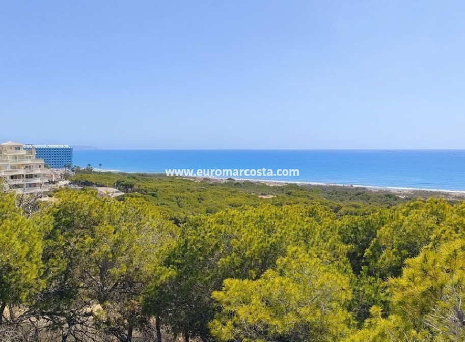 Sale - Apartment / flat - Guardamar del Segura