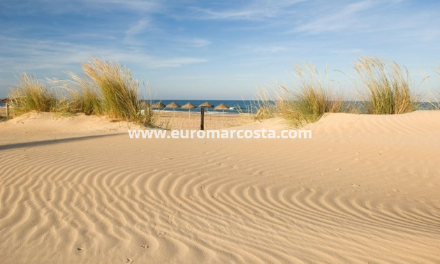 Sale - Apartment / flat - Guardamar del Segura