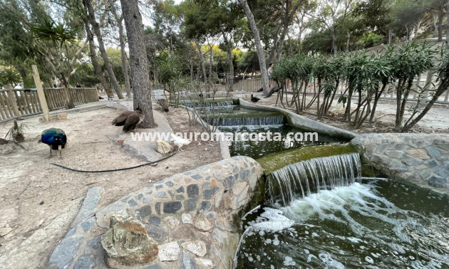 Sale - Apartment / flat - Guardamar del Segura