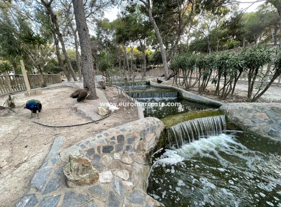 Sale - Apartment / flat - Guardamar del Segura