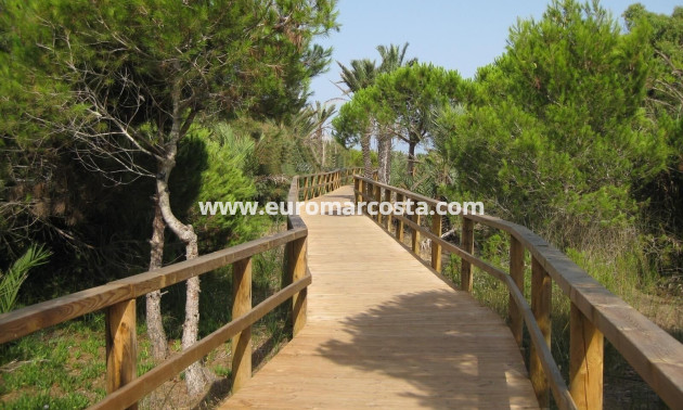 Sale - Apartment / flat - Guardamar del Segura