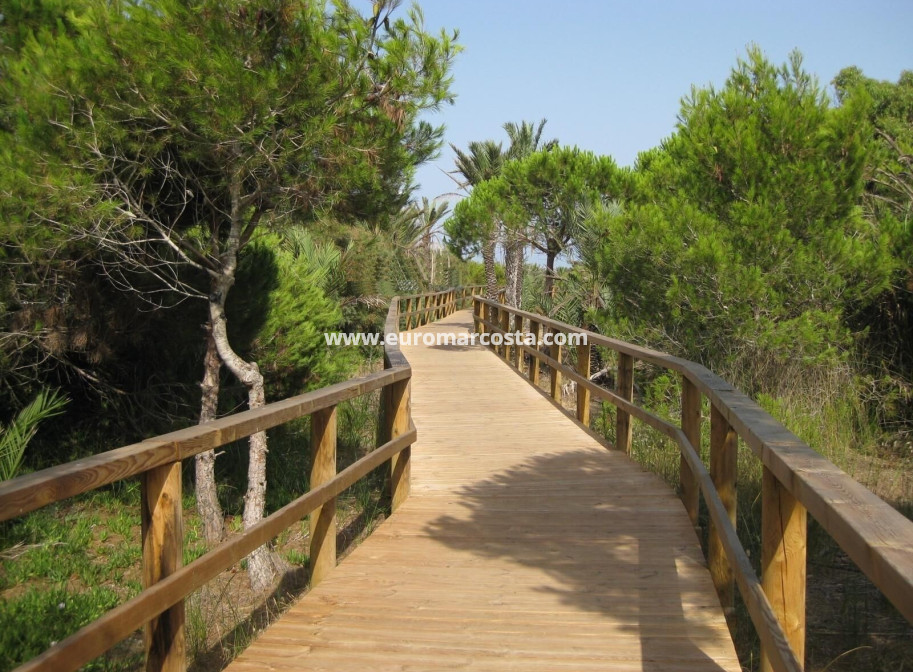 Sale - Apartment / flat - Guardamar del Segura
