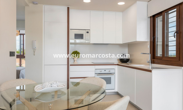 New Build - Bungalow - Torrevieja - TORREVIEJA