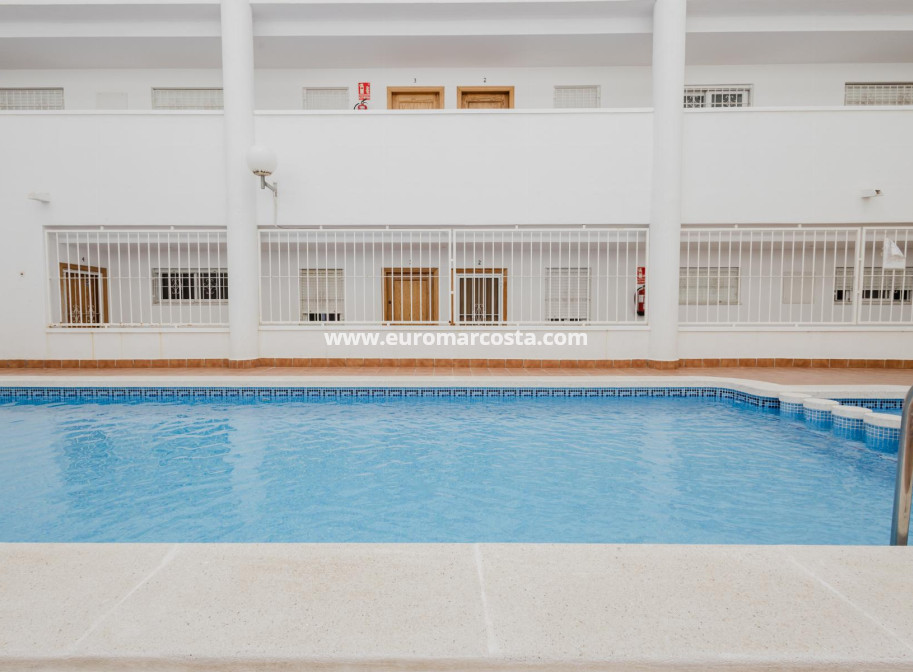 Venta - Apartamento / piso - Torrevieja - TORREVIEJA