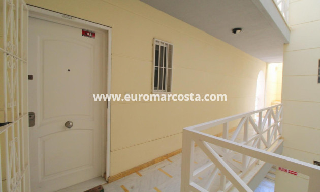 Objekte zum Wiederverkauf - Wohnung - Torrevieja - TORREVIEJA
