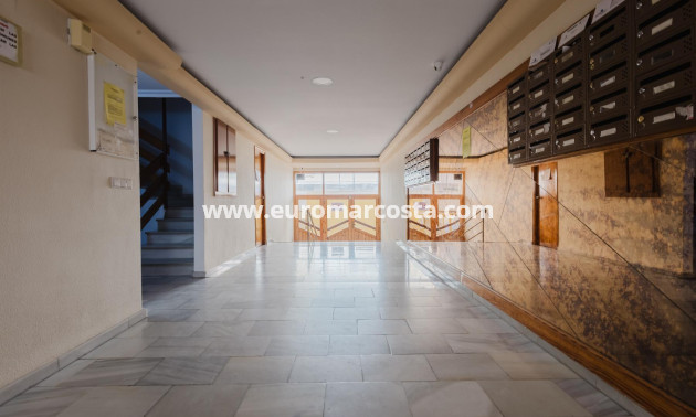 Venta - Apartamento / piso - Torrevieja - TORREVIEJA