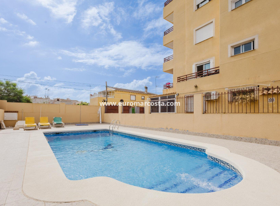 Venta - Apartamento / piso - Torrevieja - TORREVIEJA
